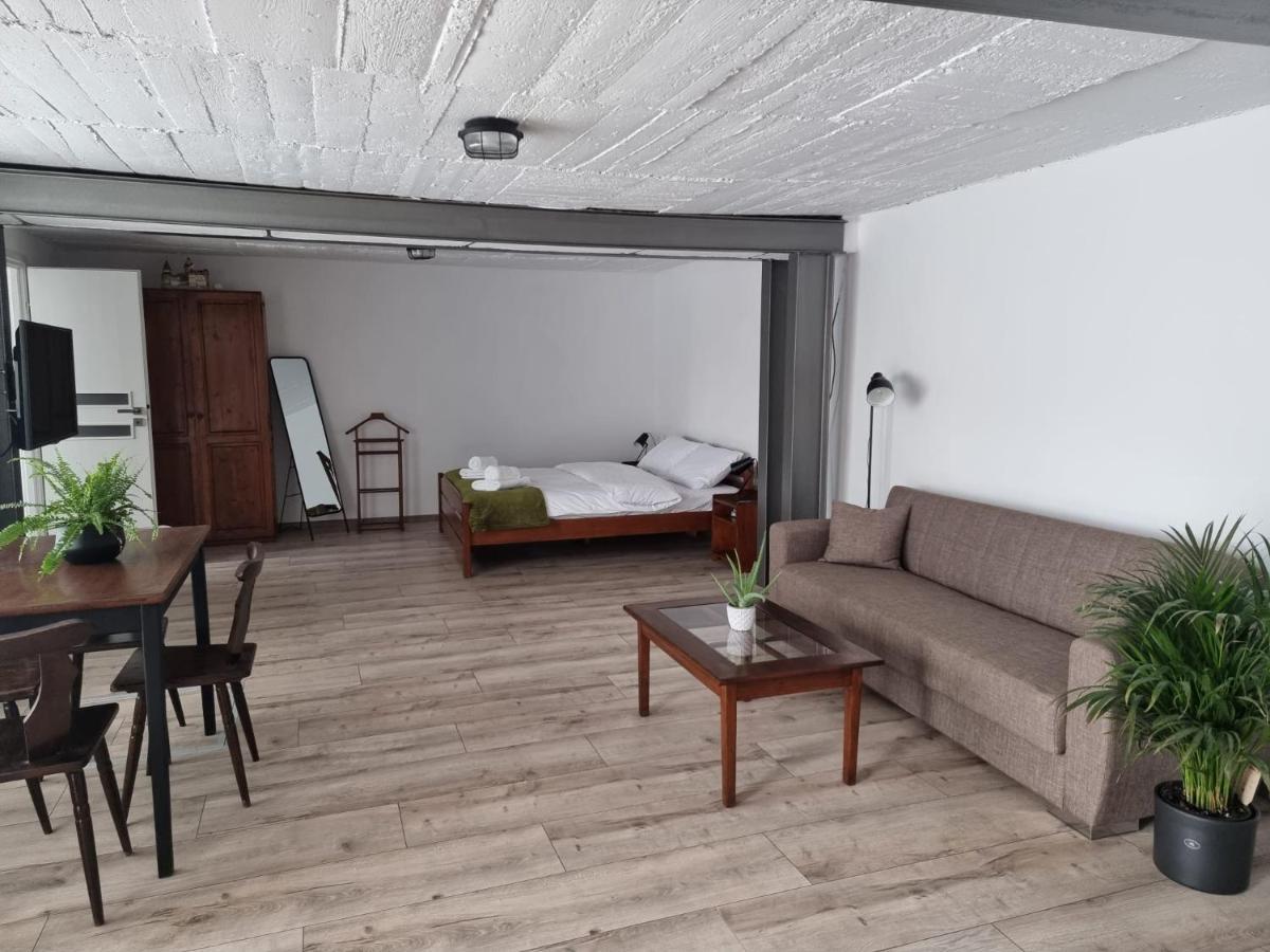 شقة The Cozy Bunker سيبيو المظهر الخارجي الصورة