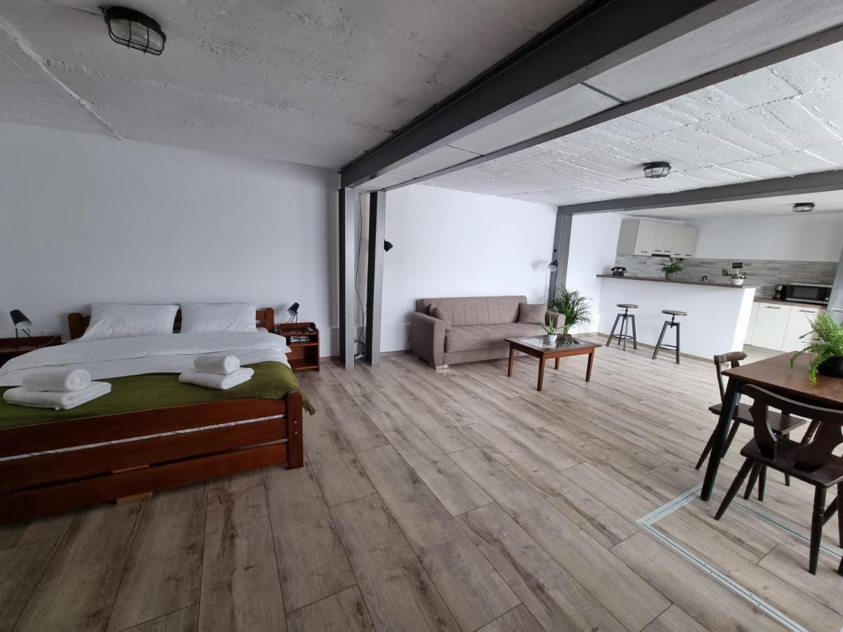شقة The Cozy Bunker سيبيو المظهر الخارجي الصورة