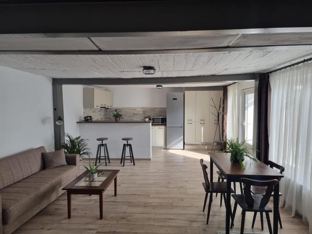 شقة The Cozy Bunker سيبيو المظهر الخارجي الصورة